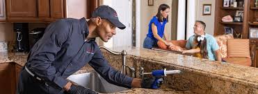 Best Pest Control for Multi-Family Homes  in Rosewood Heights, IL